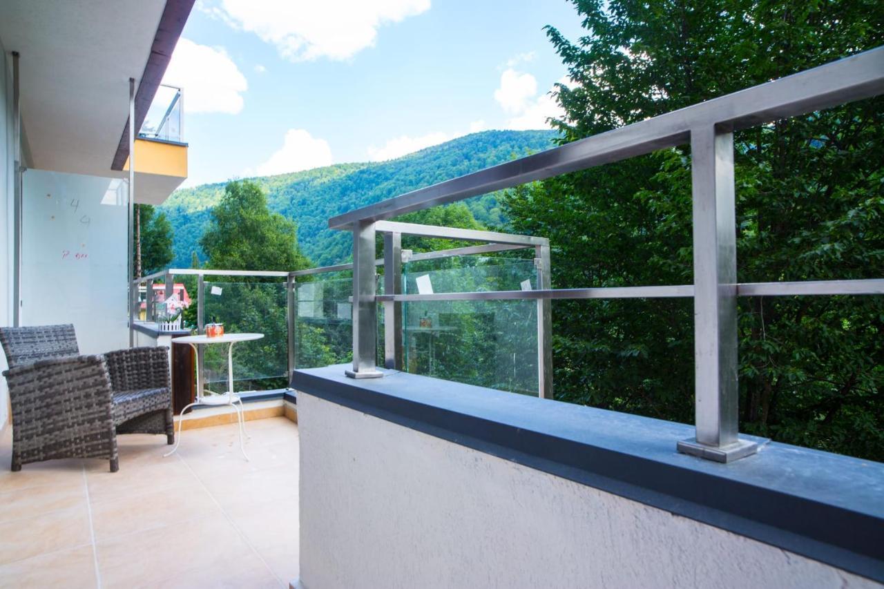 Vlad Apartments -Colina Marei Sinaia Buitenkant foto